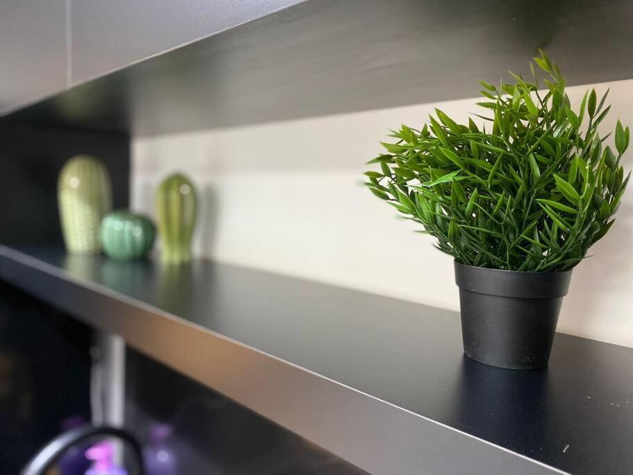 Apartment T'eo 25 *